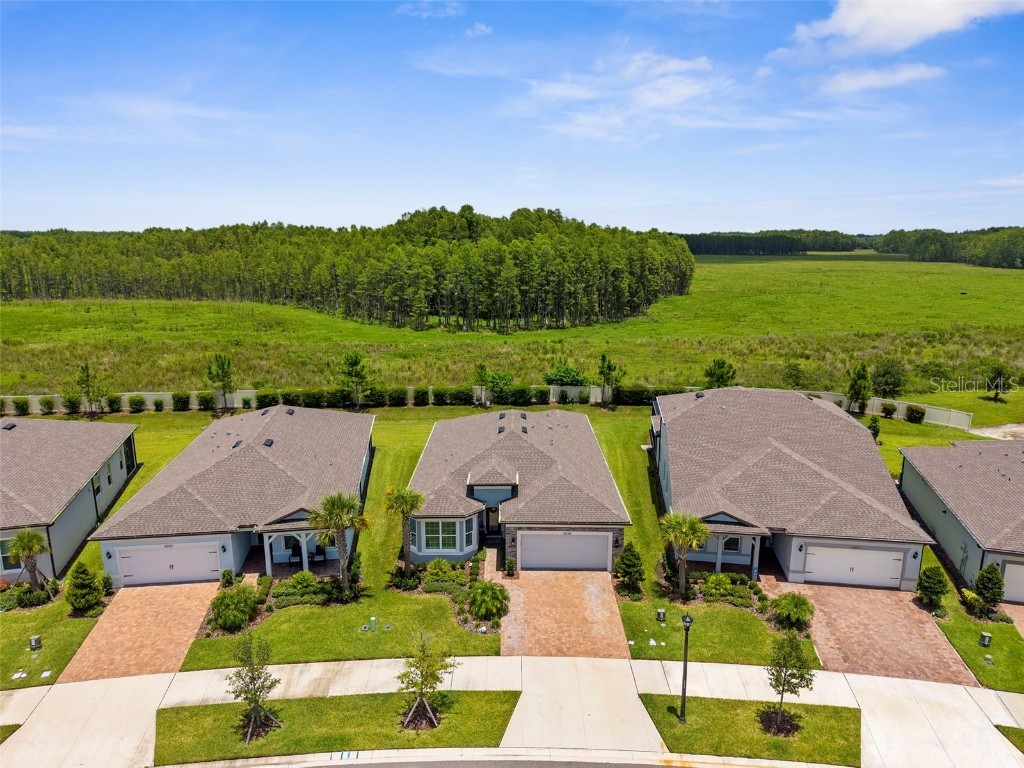 20065 Sea Glass Circle Land O Lakes FL 34638 TB8408163 image1