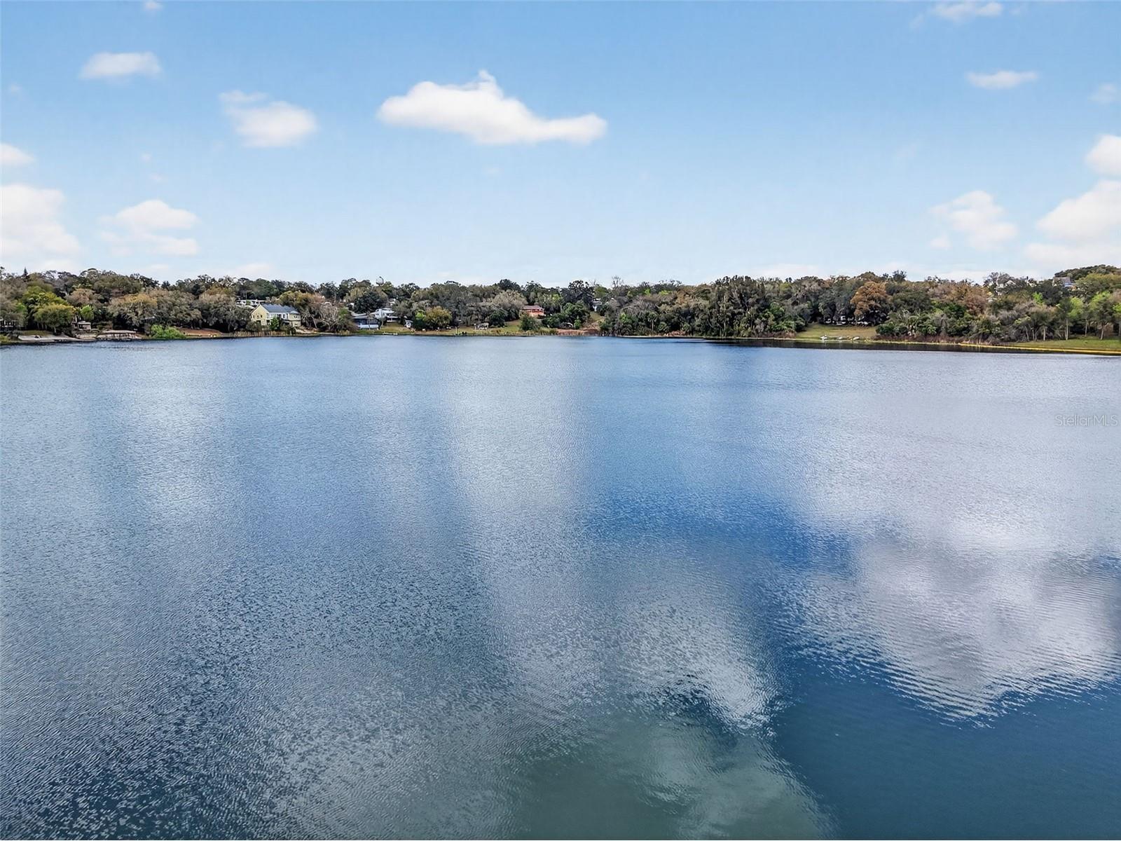 2007 Country Club Drive Eustis FL 32726 - LAKE NETTIE G5109252 image52