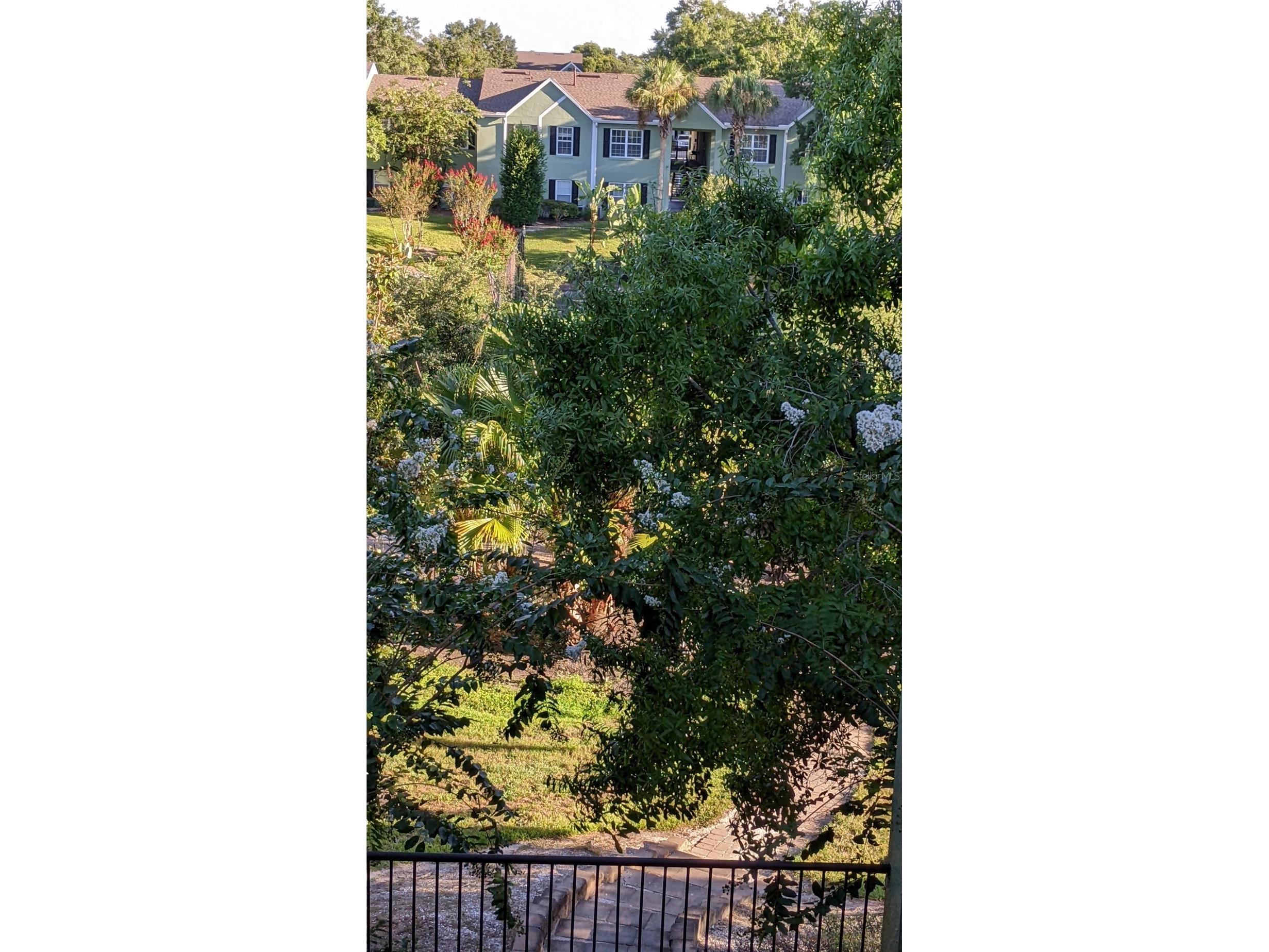 2007 Dixie Belle Drive #T Orlando FL 32812 S5145989 image18