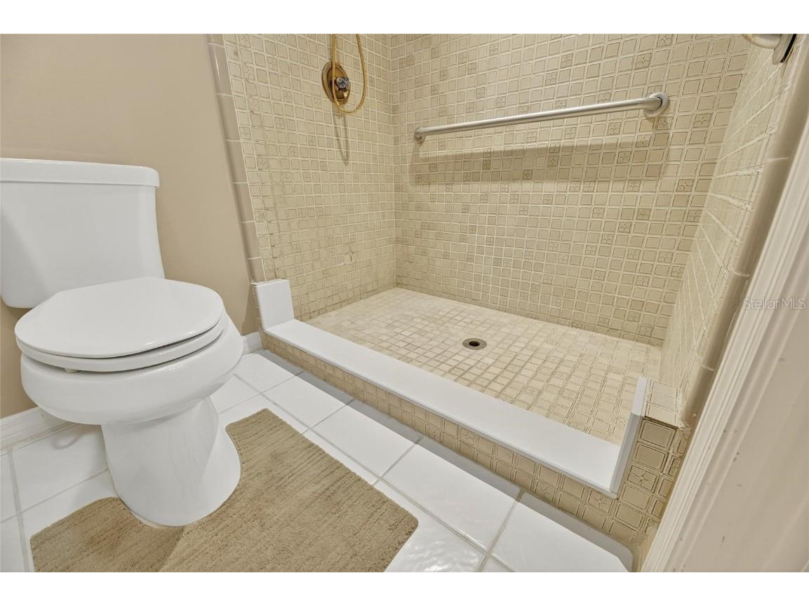 2007 E View Drive Sun City Center FL 33573 TB8364348 image43