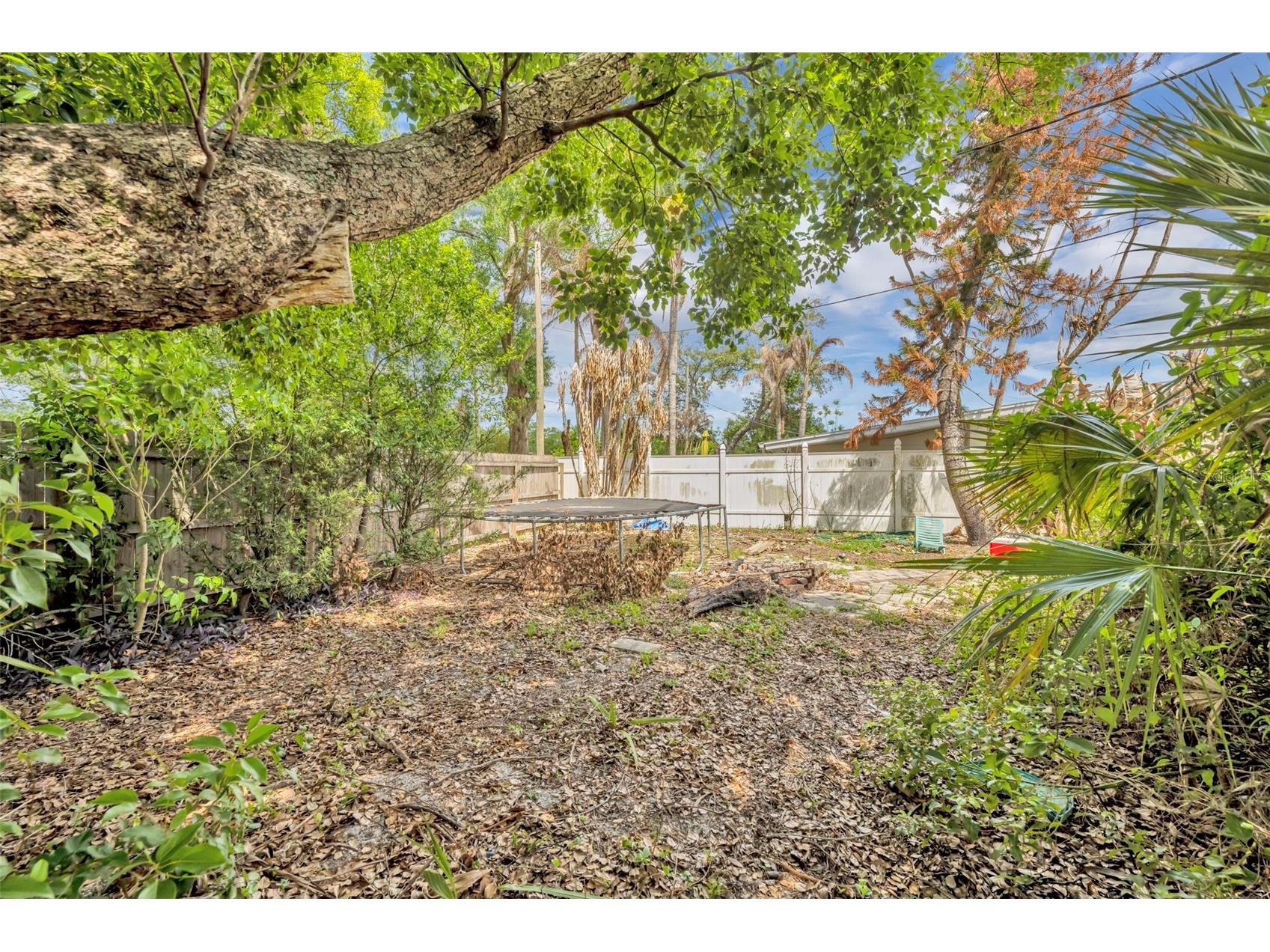 2007 Edwin Boulevard Winter Park FL 32792 O6396498 image11