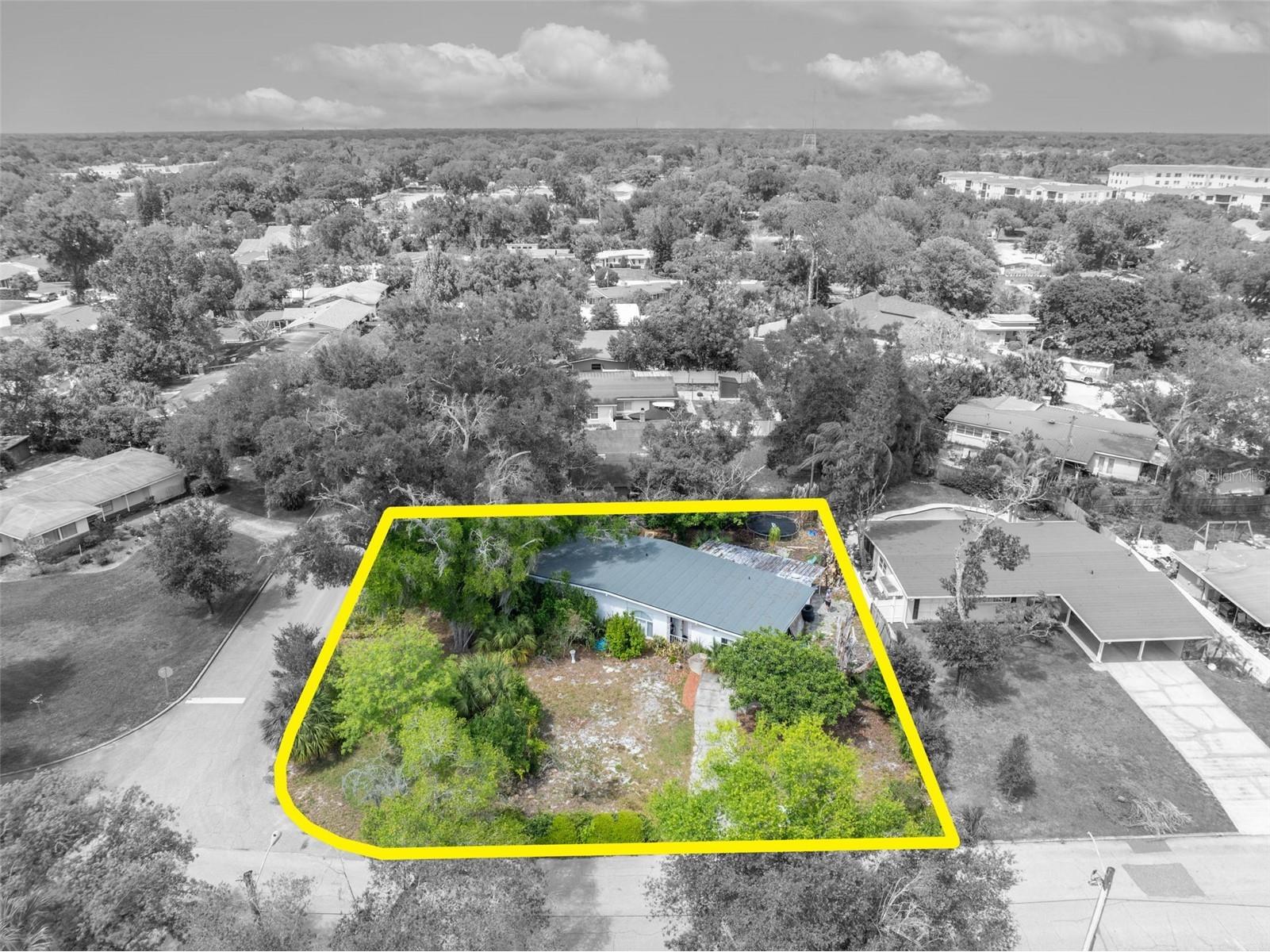 2007 Edwin Boulevard Winter Park FL 32792 O6396498 image12