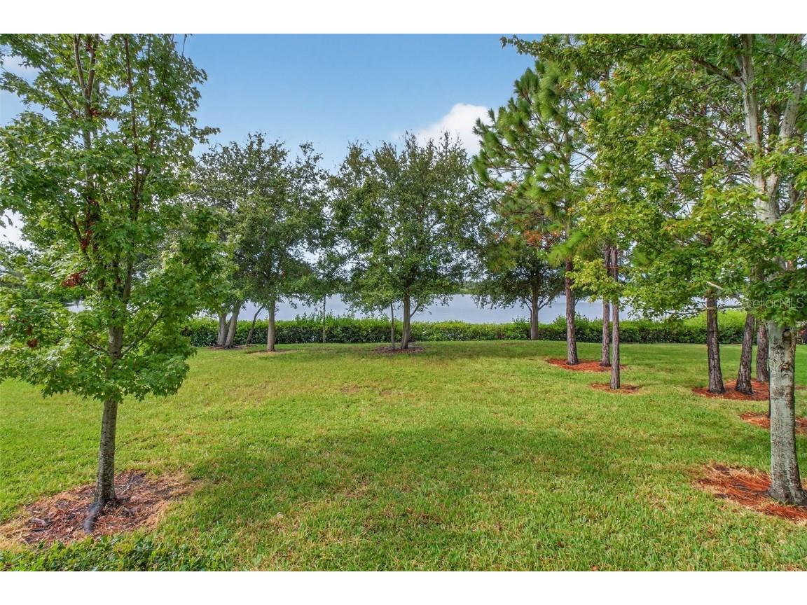 2007 Palm Key Avenue Oldsmar FL 34677 TB8430845 image19