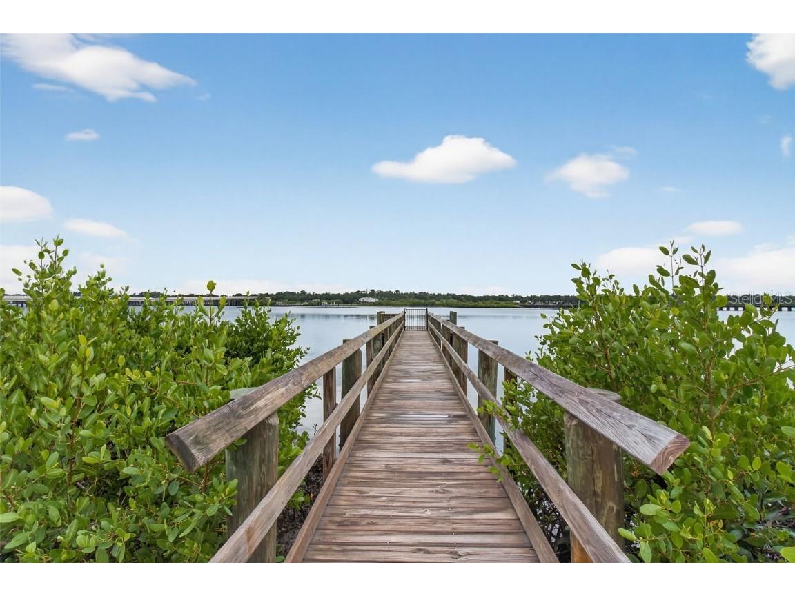 2007 Palm Key Avenue Oldsmar FL 34677 TB8430845 image46