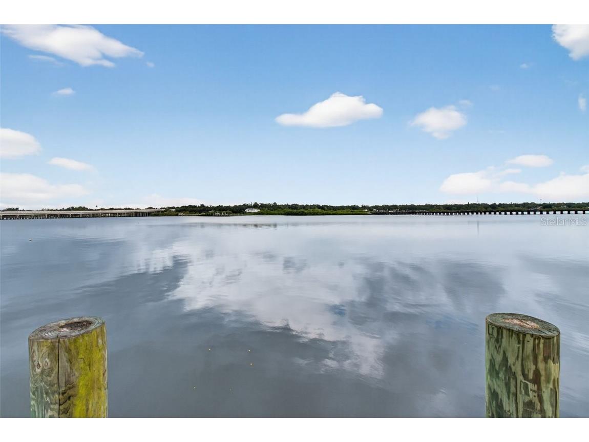 2007 Palm Key Avenue Oldsmar FL 34677 TB8430845 image47