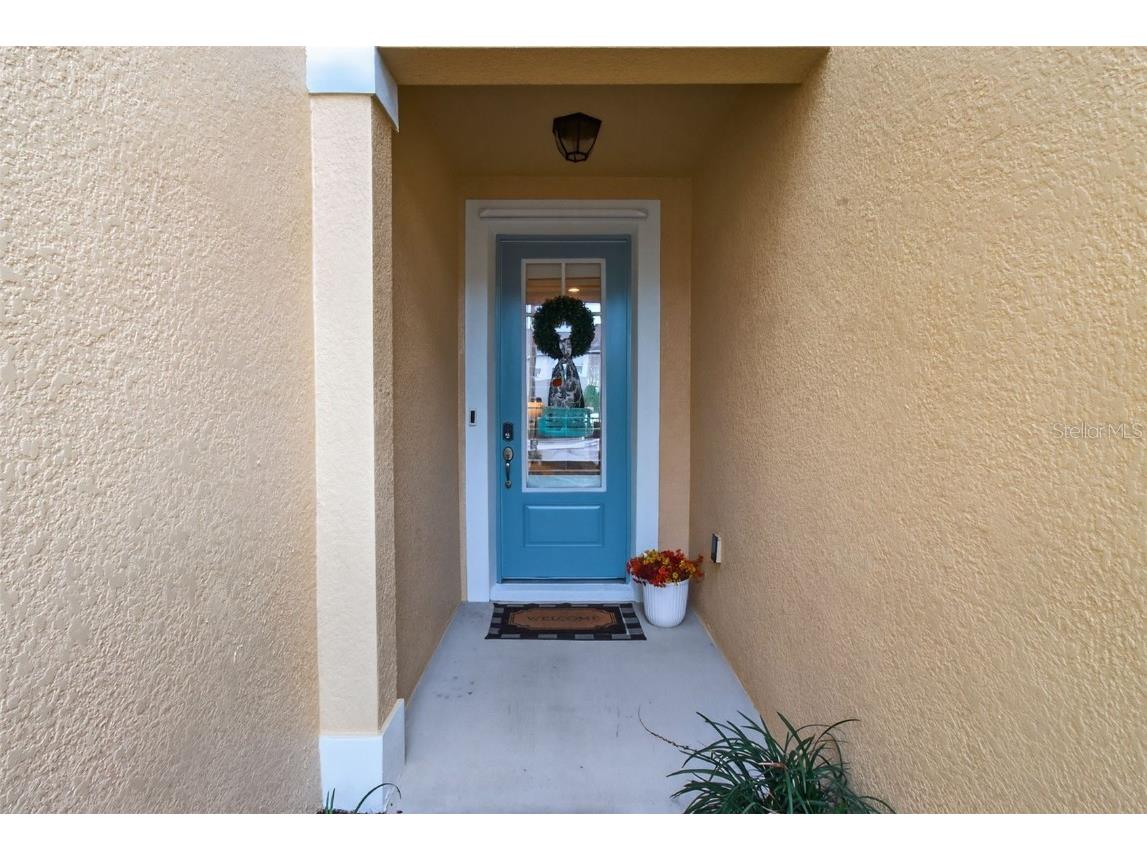 2007 Palm Key Avenue Oldsmar FL 34677 TB8430845 image5