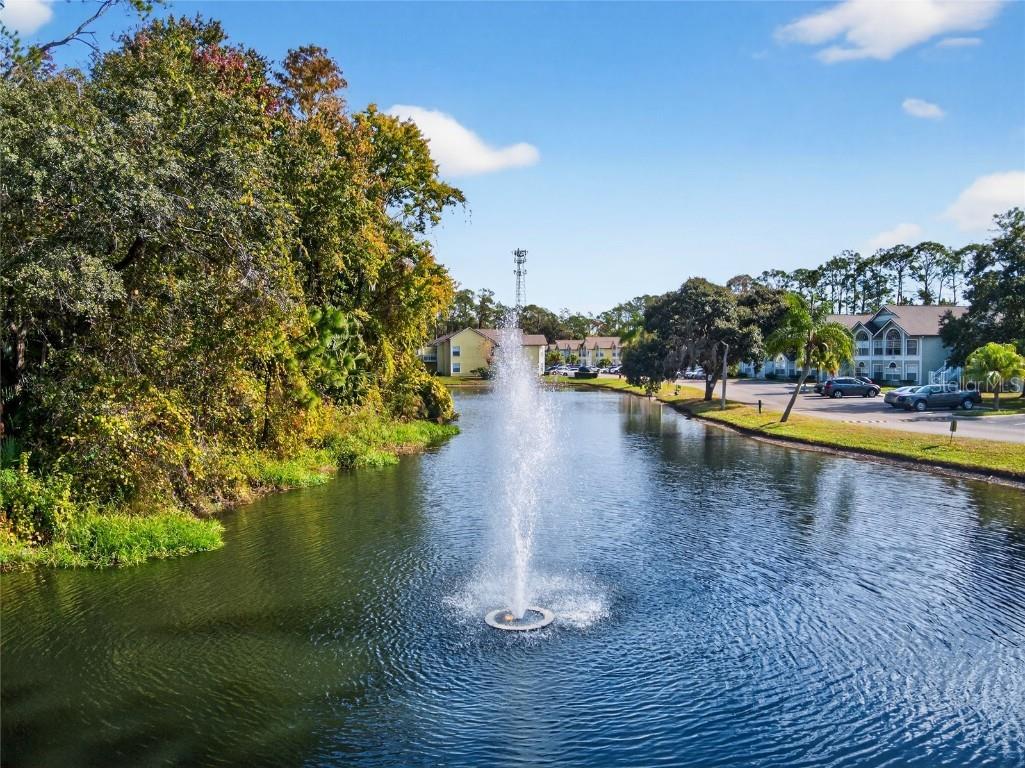 2007 Royal Bay Boulevard #144 Kissimmee FL 34746 O6365012 image24