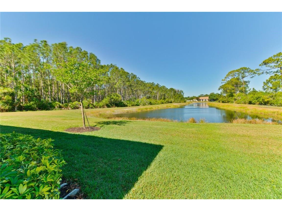 2007 Scarlett Avenue North Port FL 34289 C7490126 image45