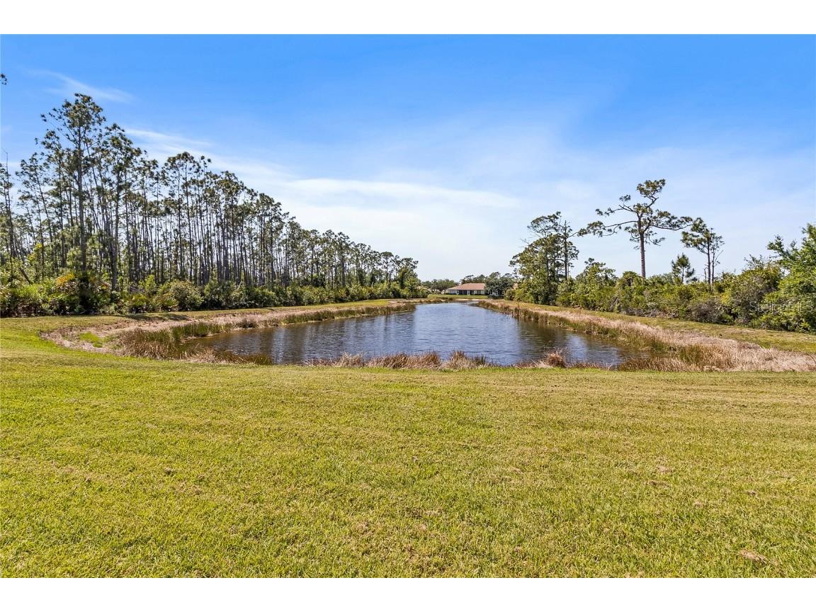 2007 Scarlett Avenue North Port FL 34289 C7490126 image47