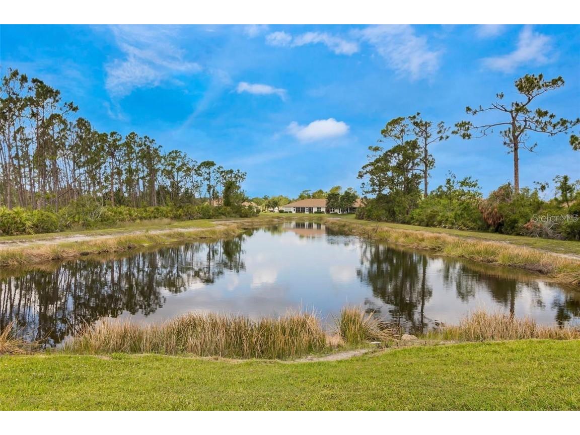 2007 Scarlett Avenue North Port FL 34289 C7490126 image5