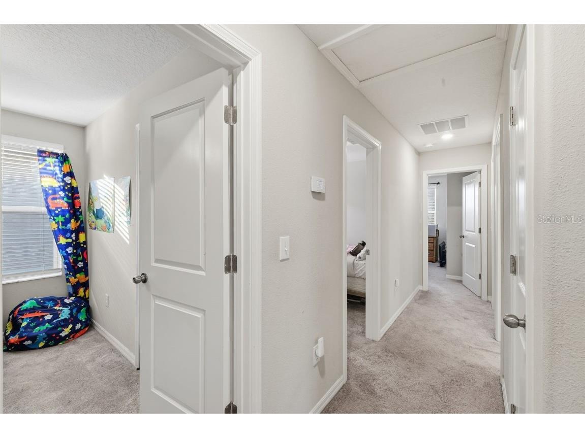 2007 Sea Salt Court Ruskin FL 33570 TB8449877 image20