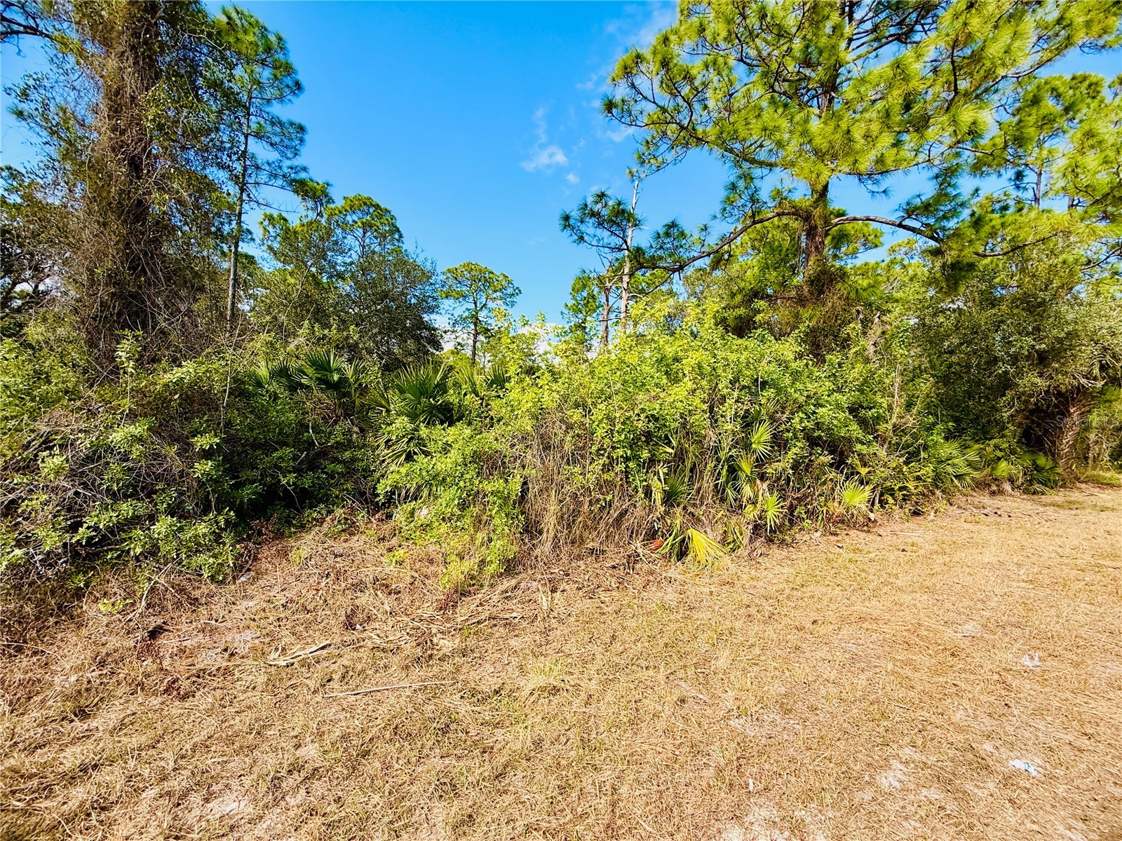 2007 Truman Avenue Alva FL 33920 C7521391 image1
