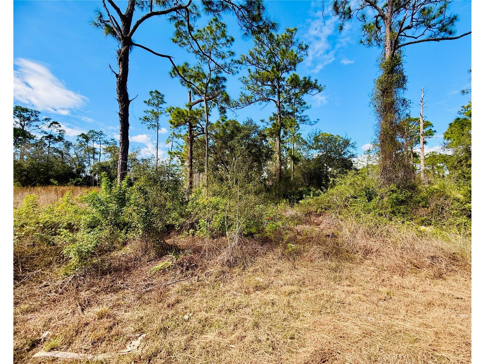 2007 Truman Avenue Alva FL 33920 C7521391 image3