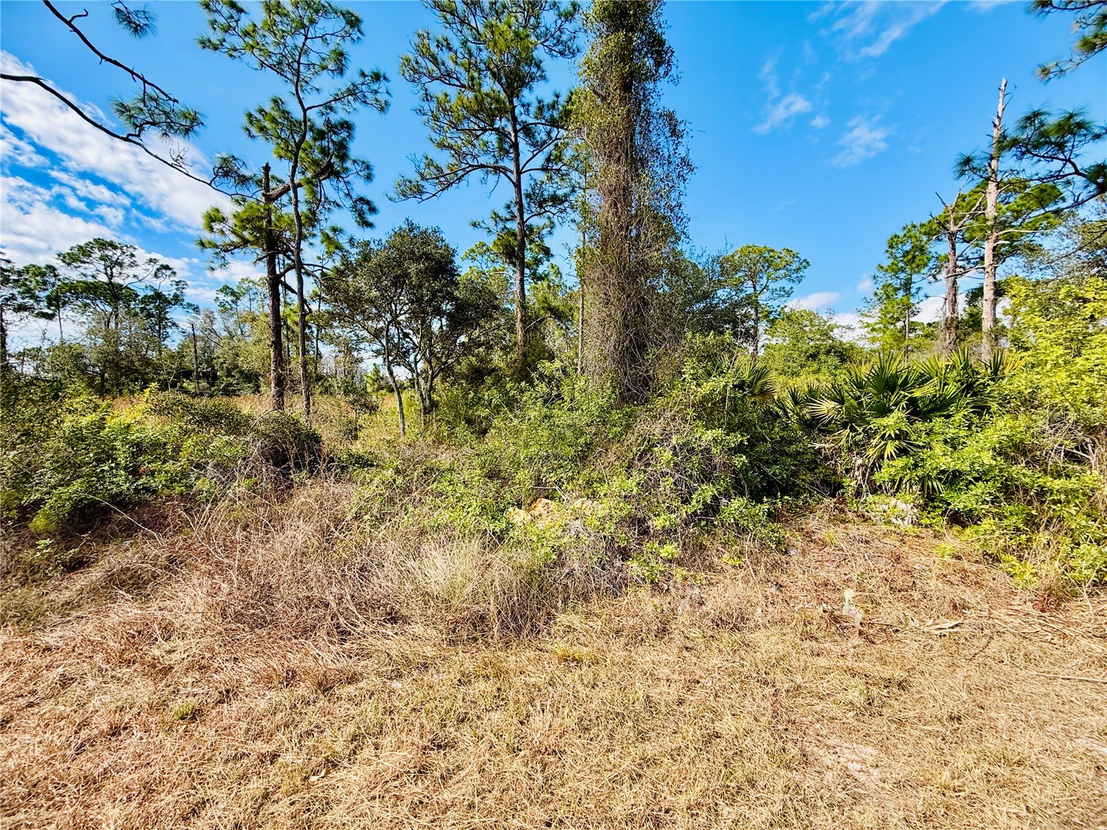 2007 Truman Avenue Alva FL 33920 C7521391 image4