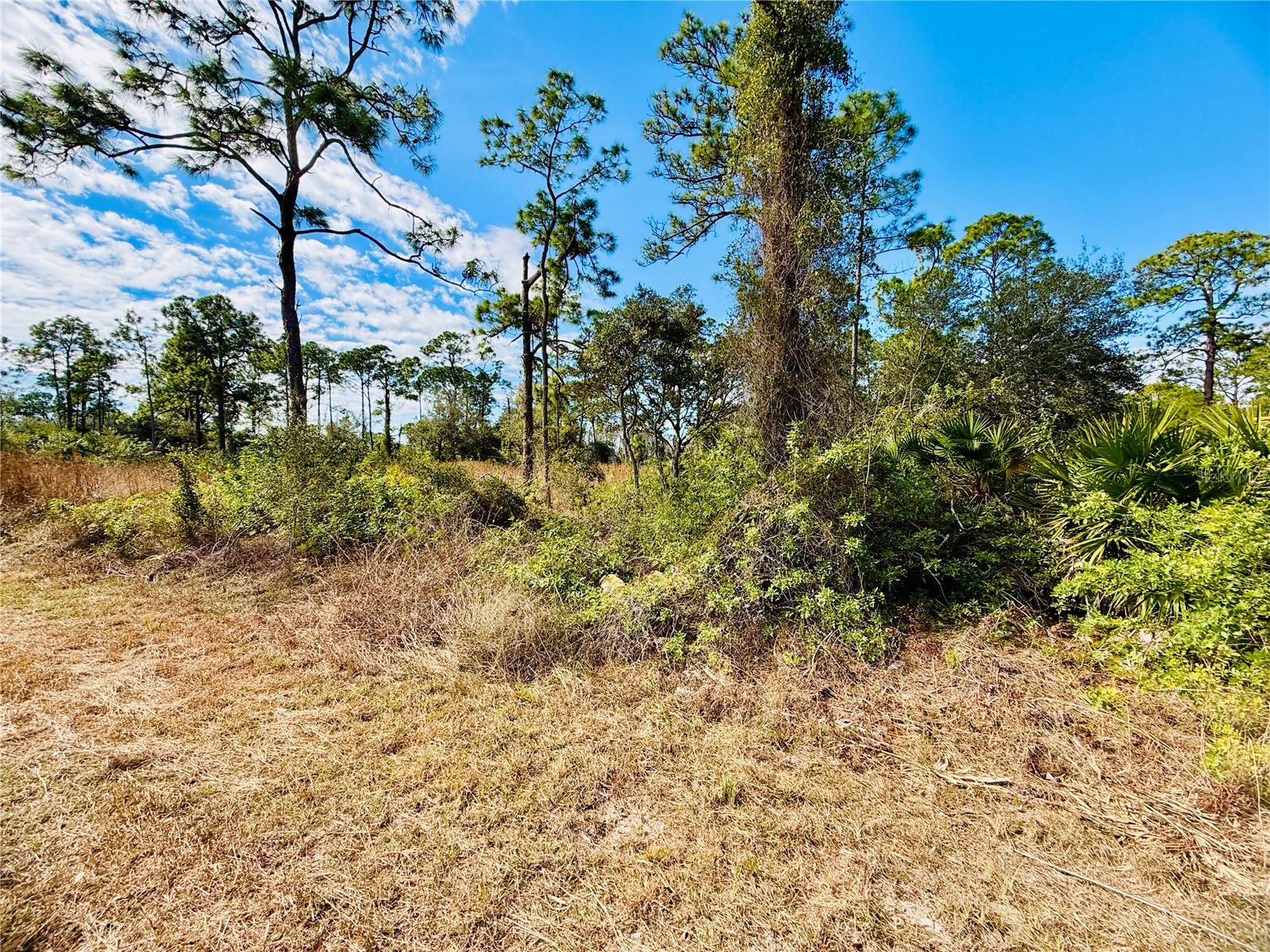 2007 Truman Avenue Alva FL 33920 C7521391 image5
