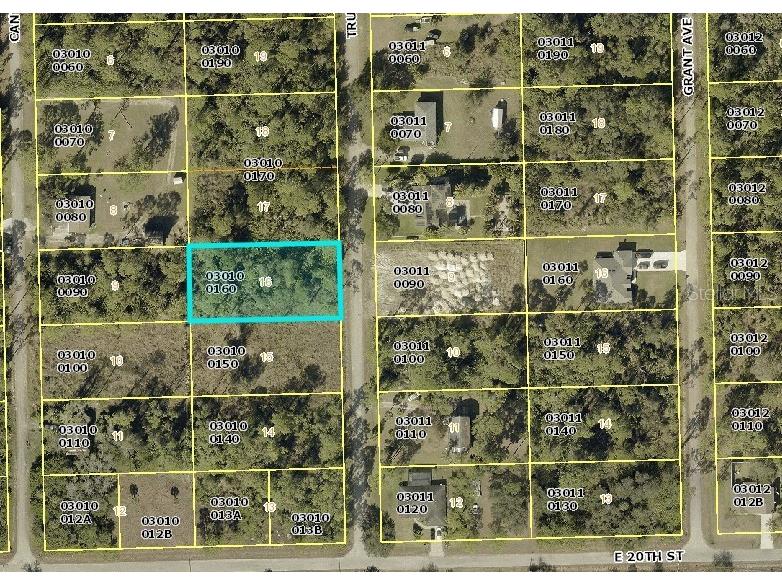 2007 Truman Avenue Alva FL 33920 C7521391 image6