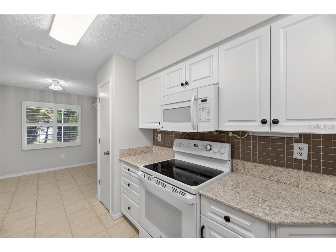 2007 W Del Webb Boulevard Sun City Center FL 33573 TB8455935 image26