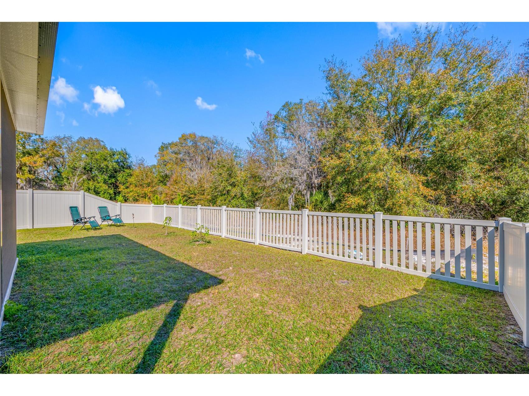 20076 Azul Marble Loop Land O Lakes FL 34638 TB8470968 image39