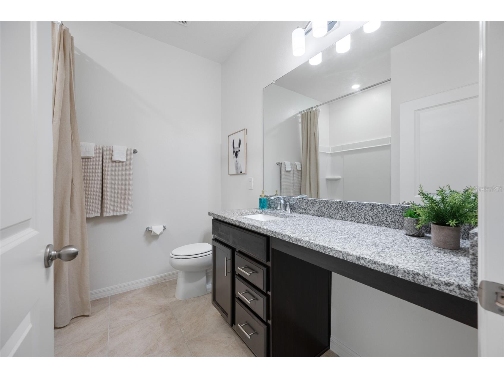 20076 Azul Marble Loop Land O Lakes FL 34638 TB8470968 image56