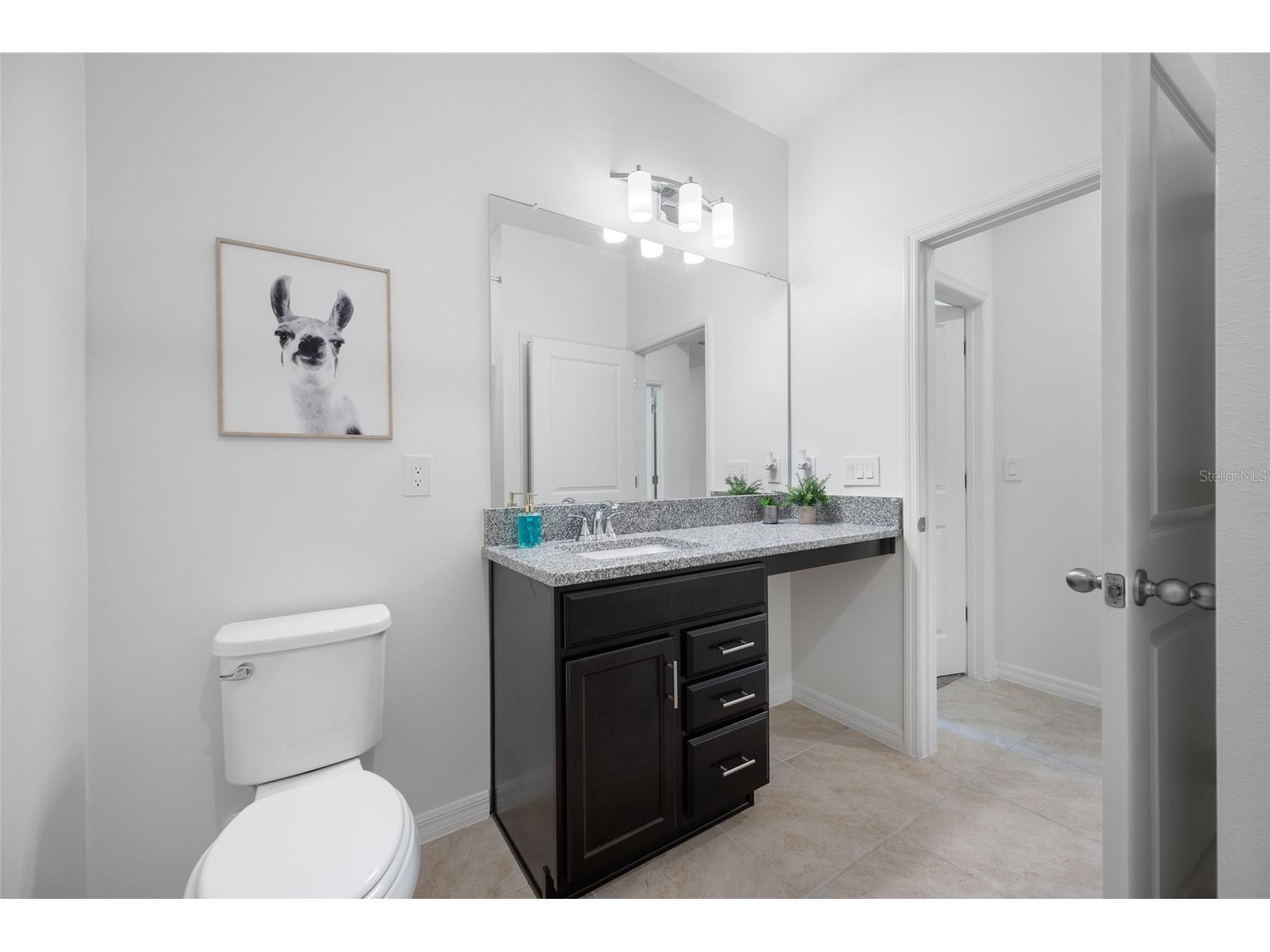 20076 Azul Marble Loop Land O Lakes FL 34638 TB8470968 image57
