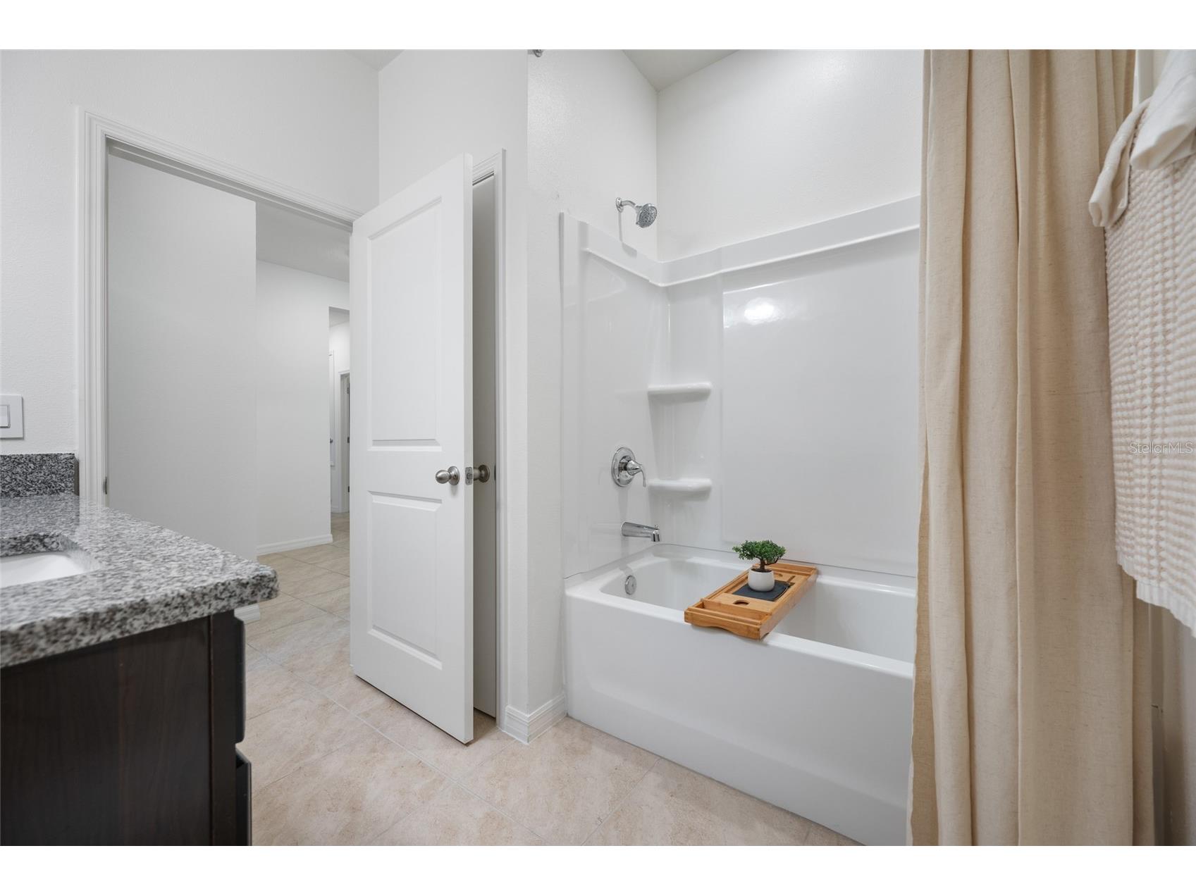 20076 Azul Marble Loop Land O Lakes FL 34638 TB8470968 image58