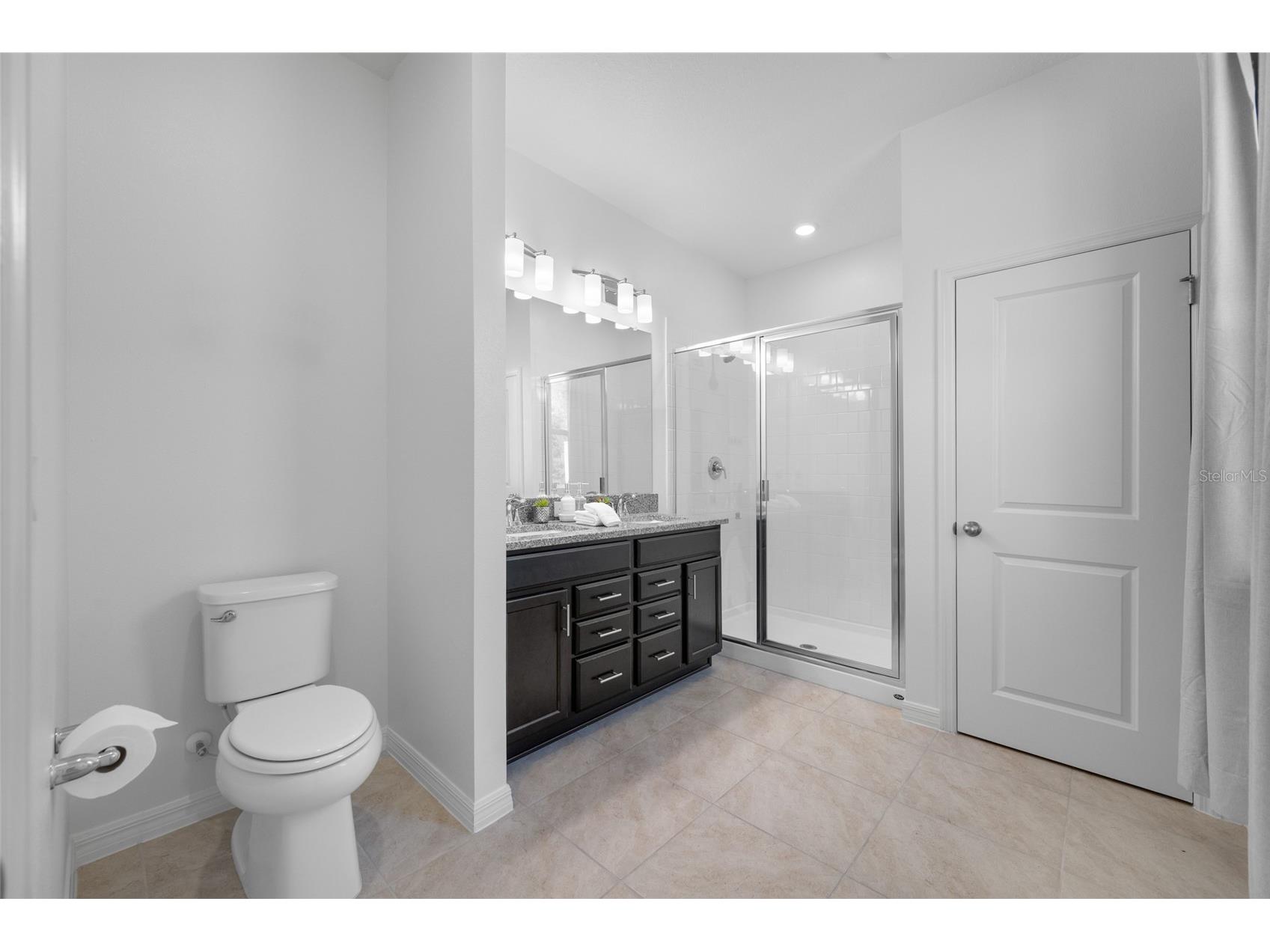 20076 Azul Marble Loop Land O Lakes FL 34638 TB8470968 image65