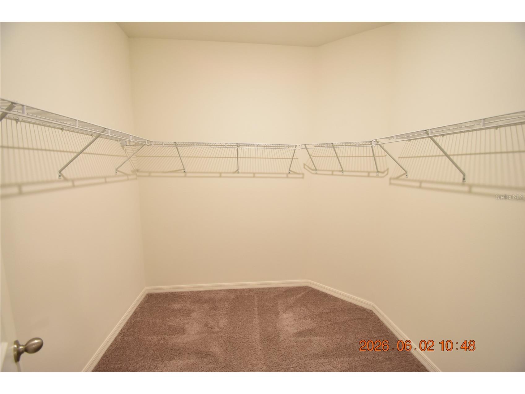 20076 Azul Marble Loop Land O Lakes FL 34638 TB8516252 image33