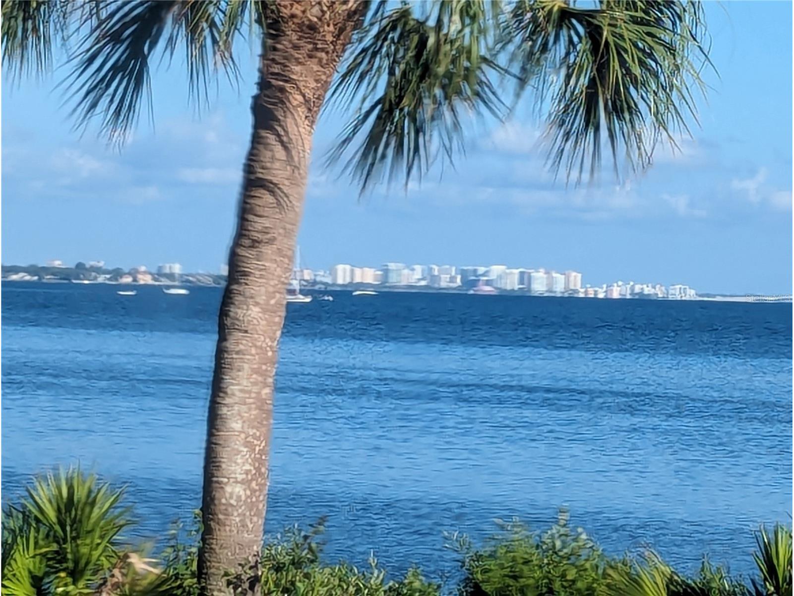 2008 Canal Drive #M3 Bradenton FL 34207 A4697838 image39