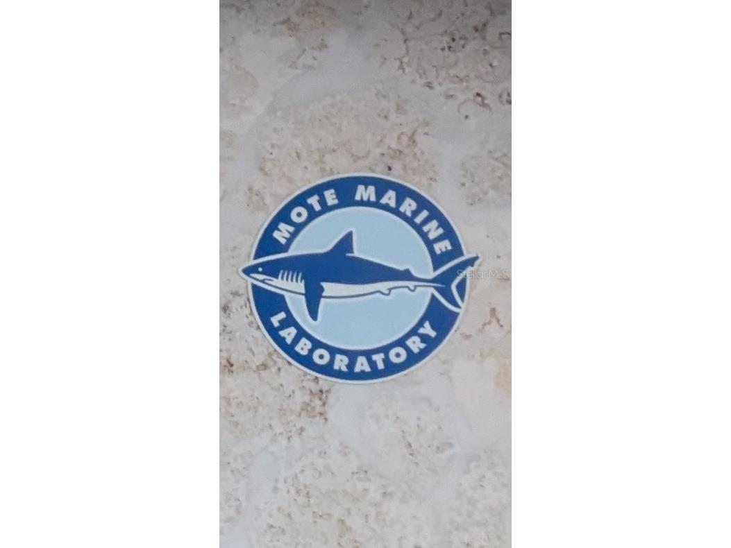 2008 Canal Drive #M3 Bradenton FL 34207 A4697838 image41