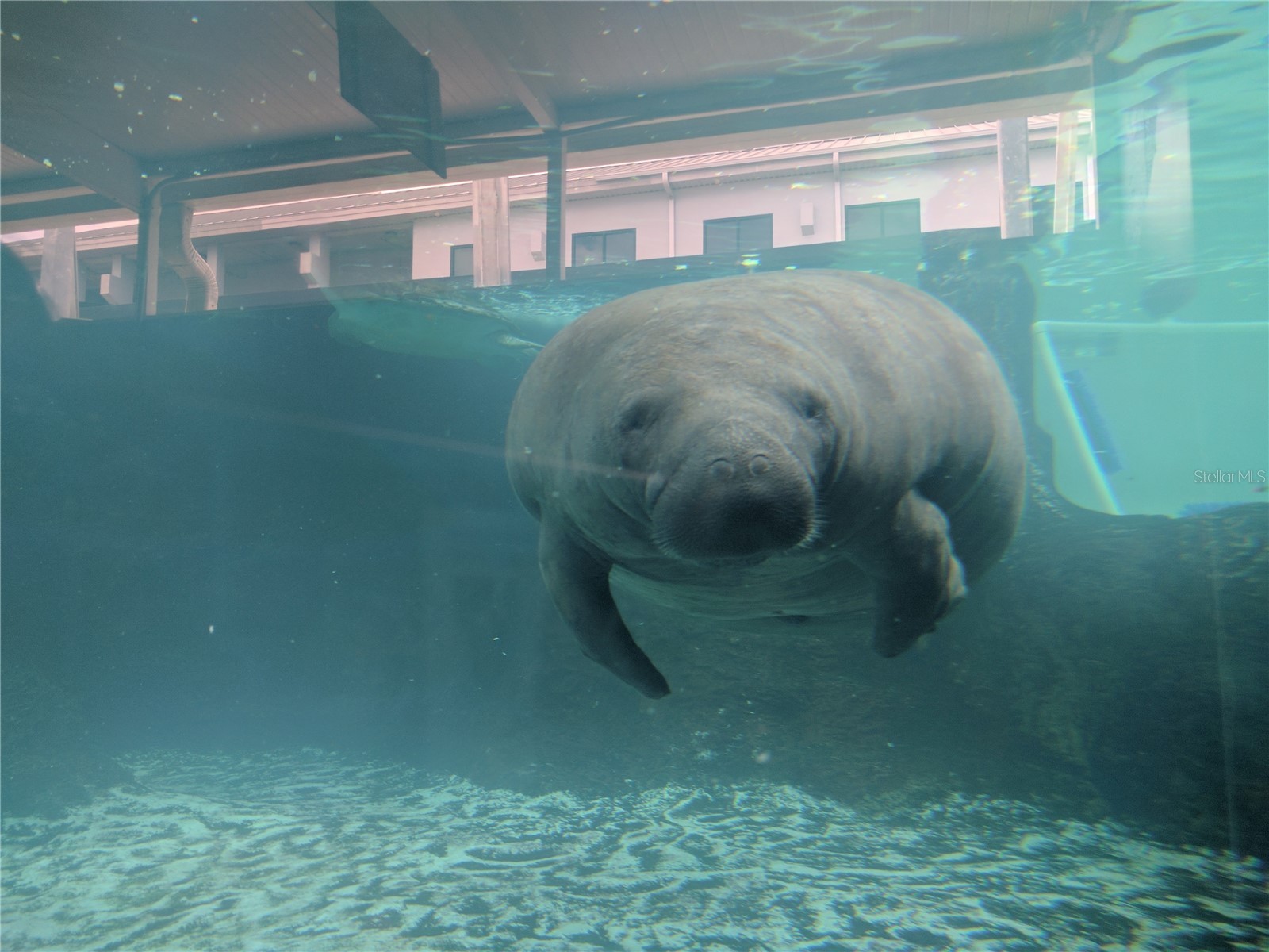 2008 Canal Drive #M3 Bradenton FL 34207 A4697838 image42