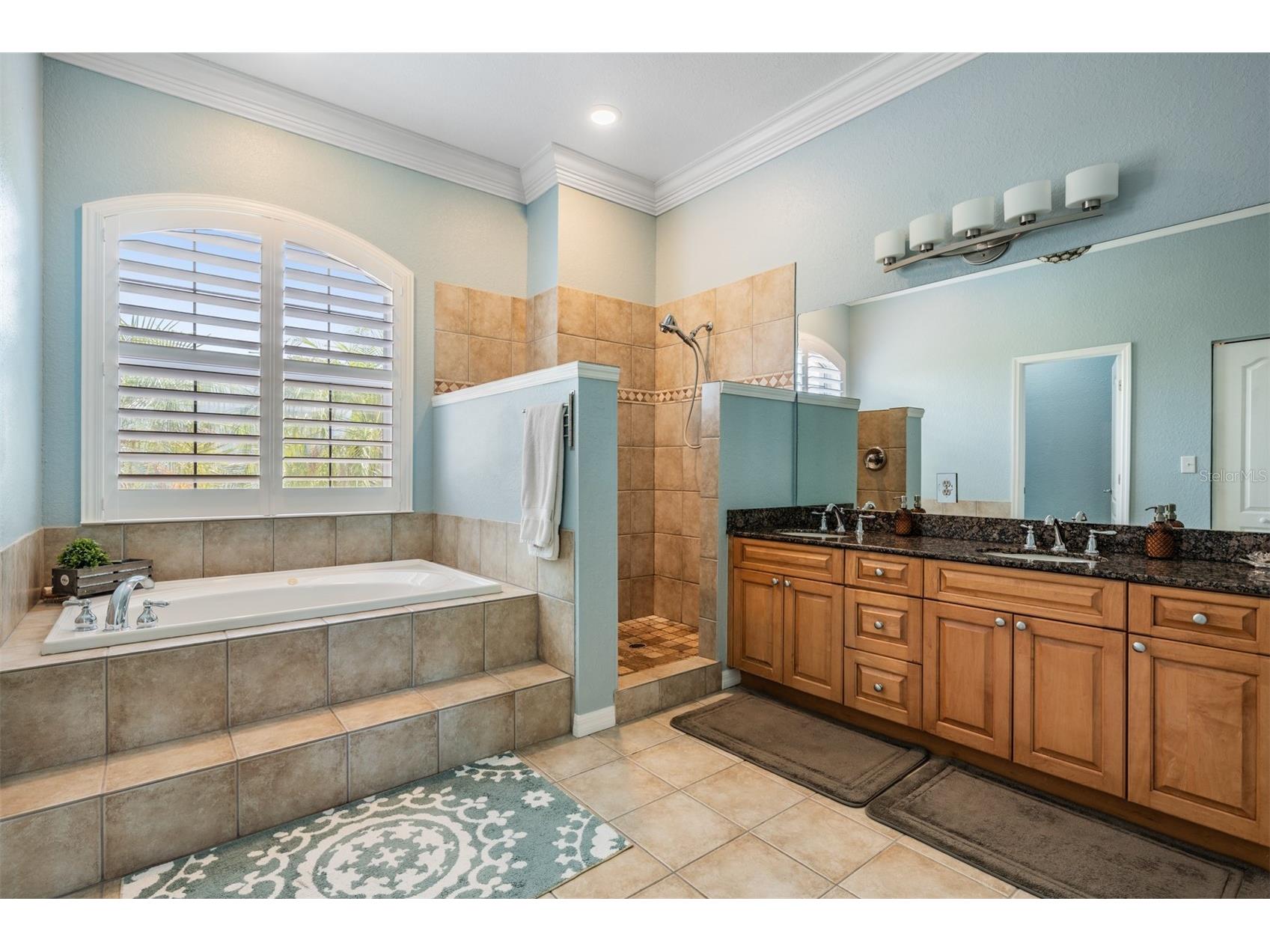 2008 N Pointe Alexis Drive Tarpon Springs FL 34689 TB8503309 image22
