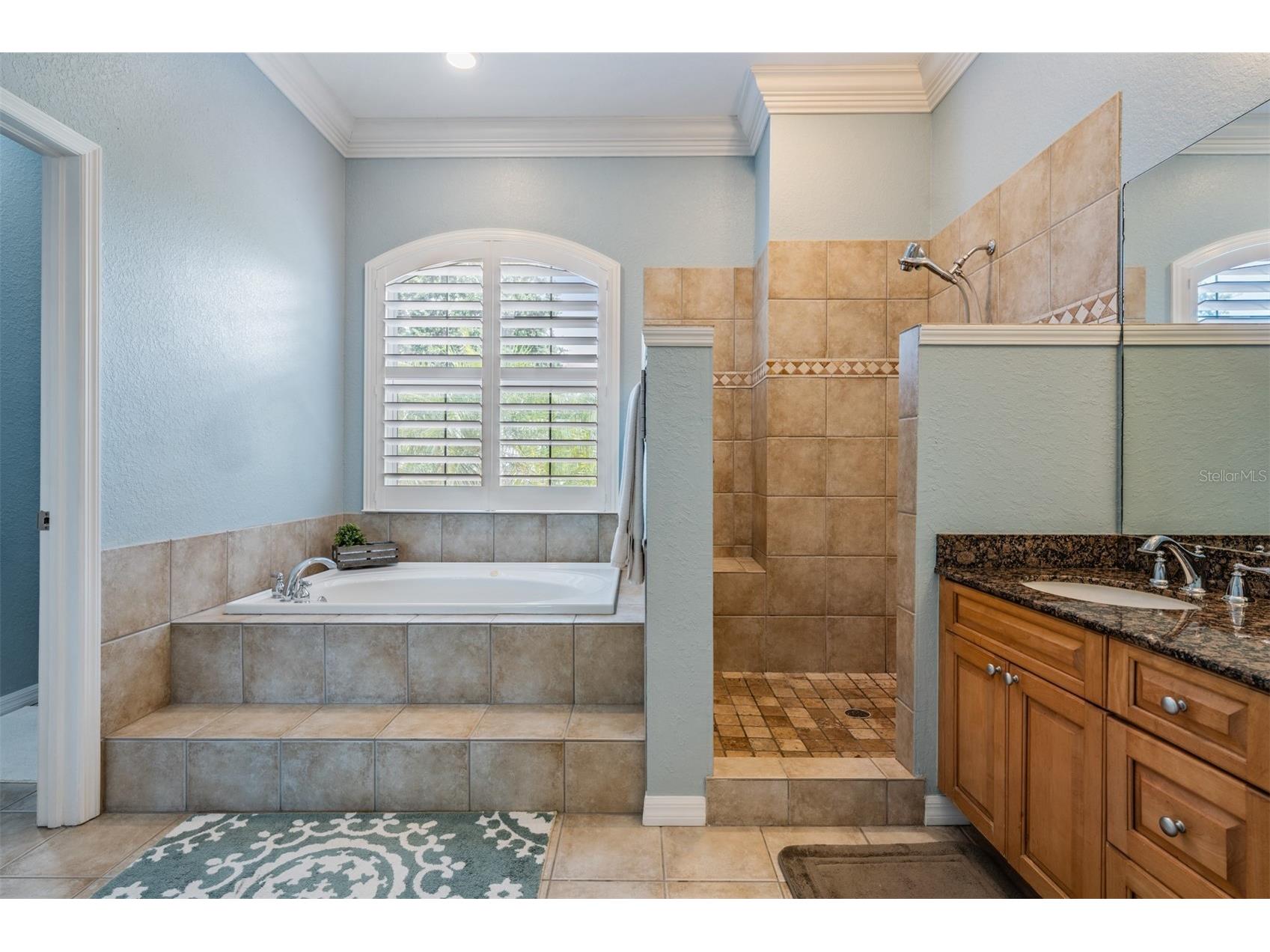 2008 N Pointe Alexis Drive Tarpon Springs FL 34689 TB8503309 image23