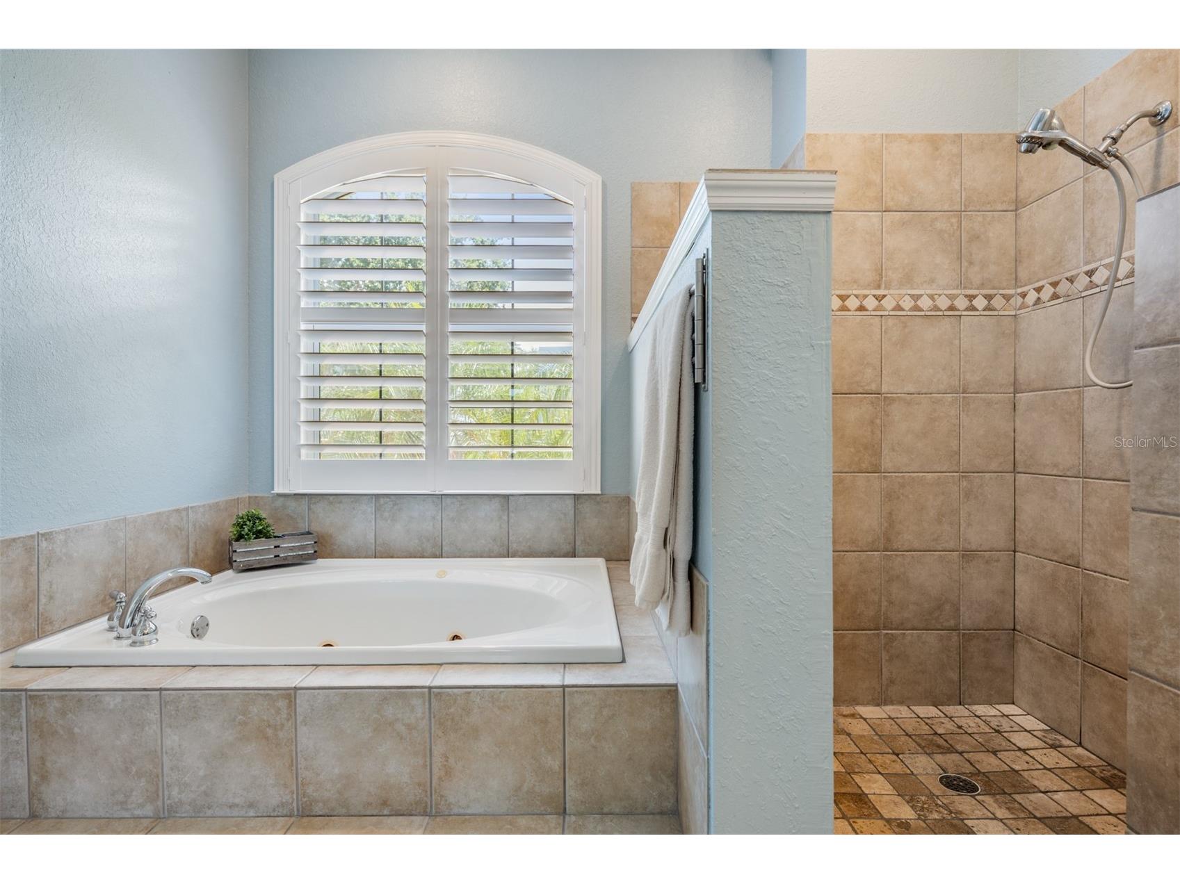 2008 N Pointe Alexis Drive Tarpon Springs FL 34689 TB8503309 image24