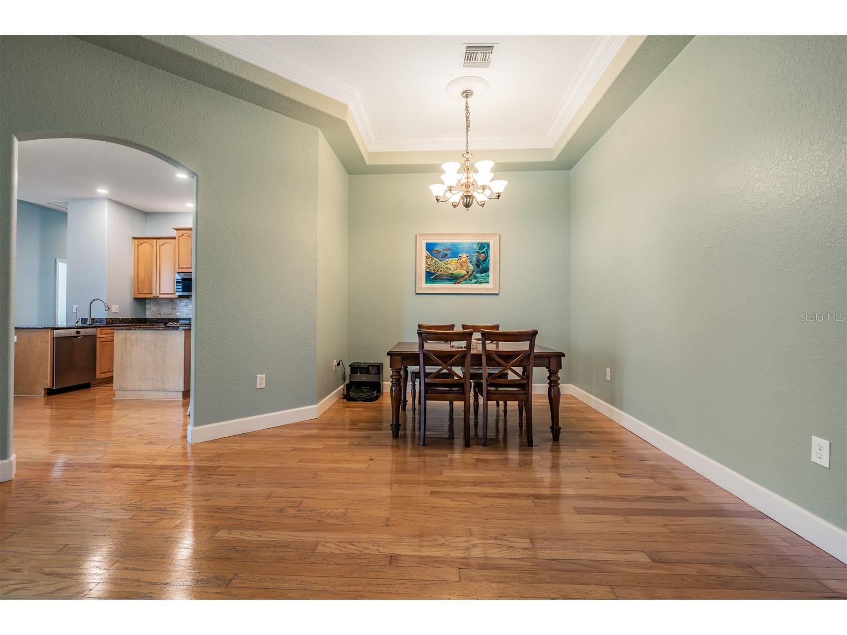 2008 N Pointe Alexis Drive Tarpon Springs FL 34689 TB8503309 image8