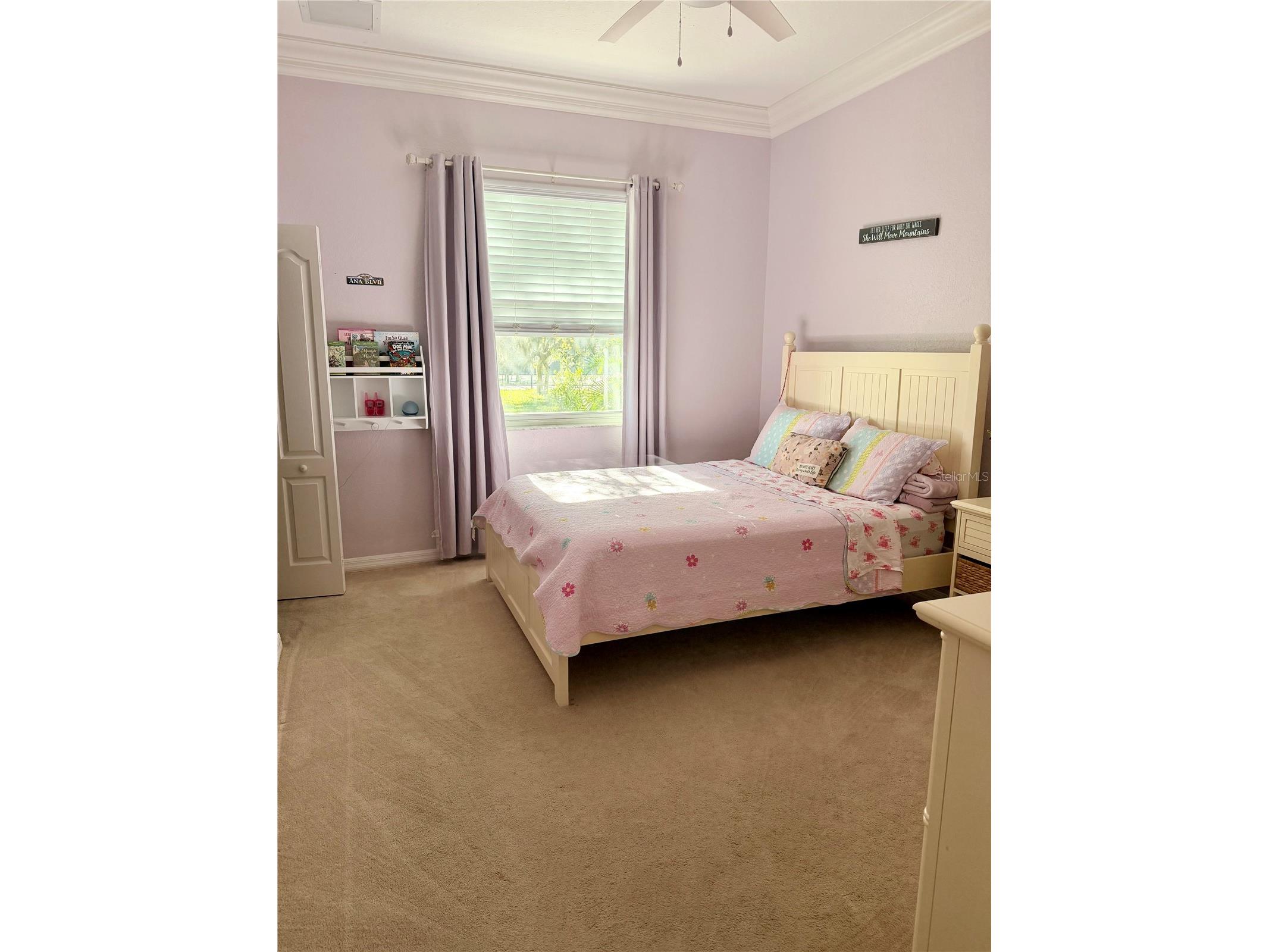 2008 N Pointe Alexis Drive Tarpon Springs FL 34689 TB8527546 image21