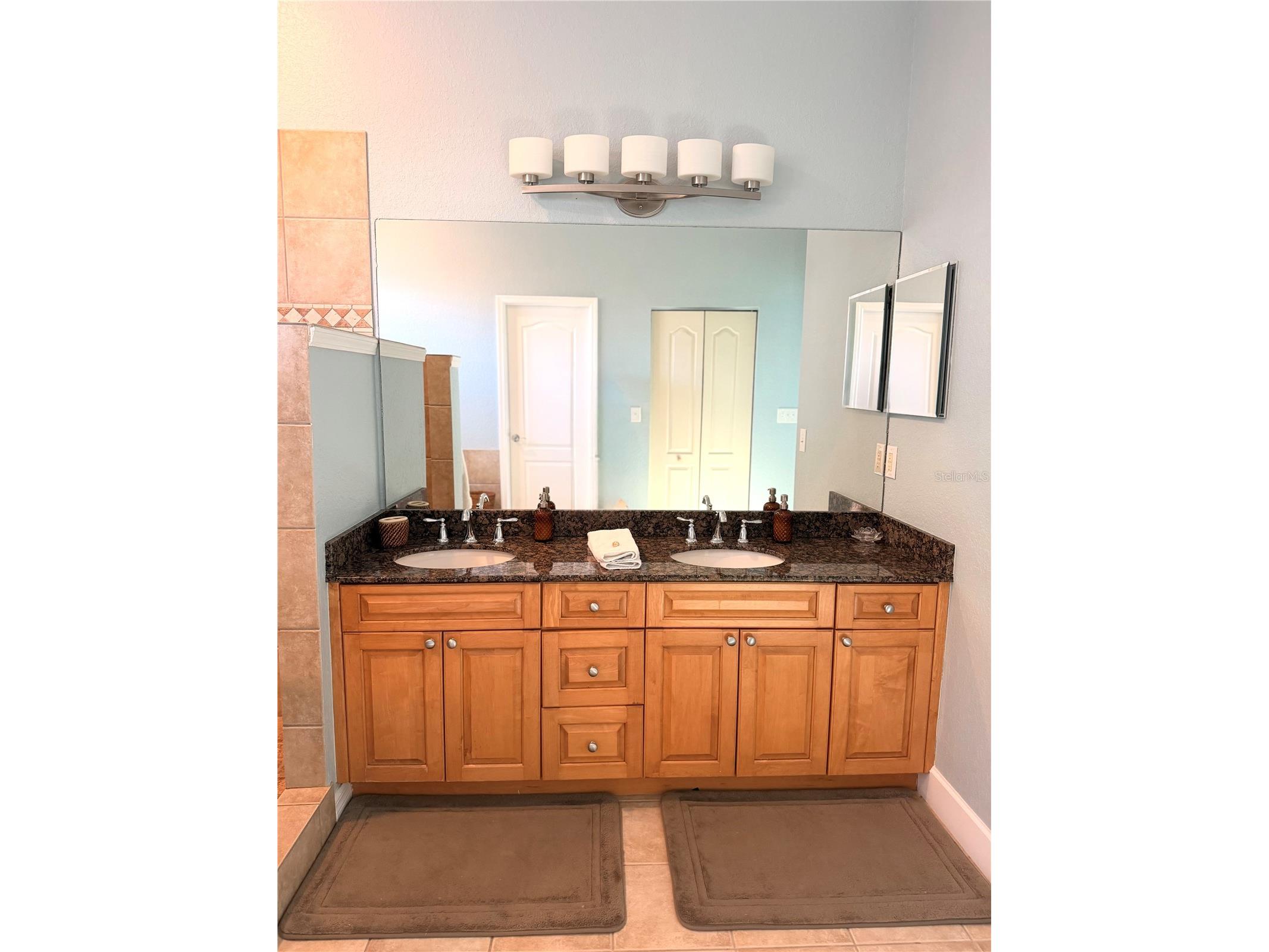 2008 N Pointe Alexis Drive Tarpon Springs FL 34689 TB8527546 image27