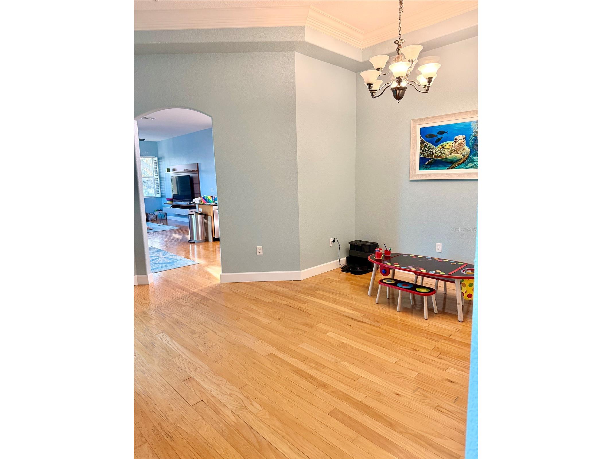 2008 N Pointe Alexis Drive Tarpon Springs FL 34689 TB8527546 image7