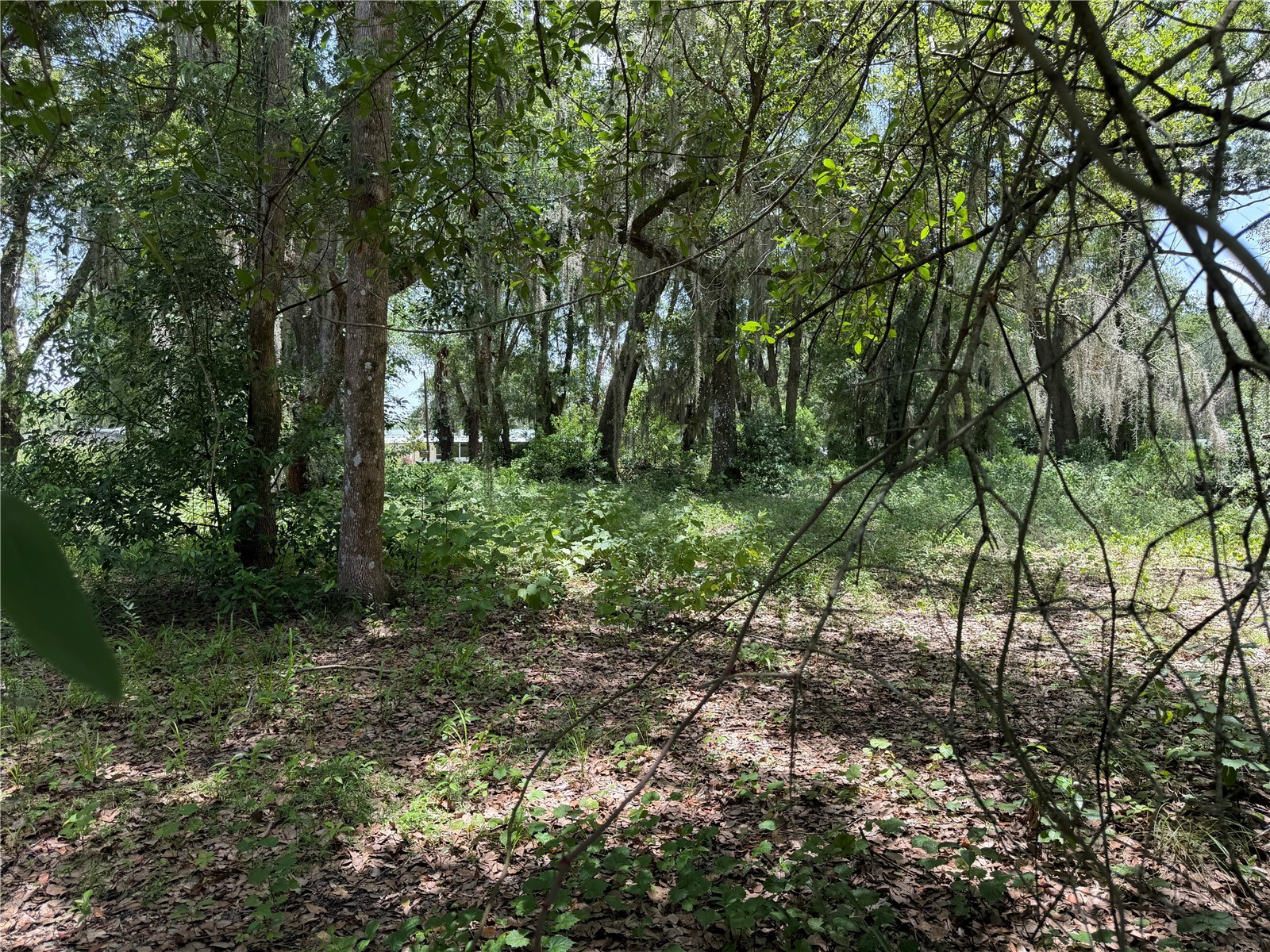 2008 Old Dixie Highway Auburndale FL 33823 L4962933 image58