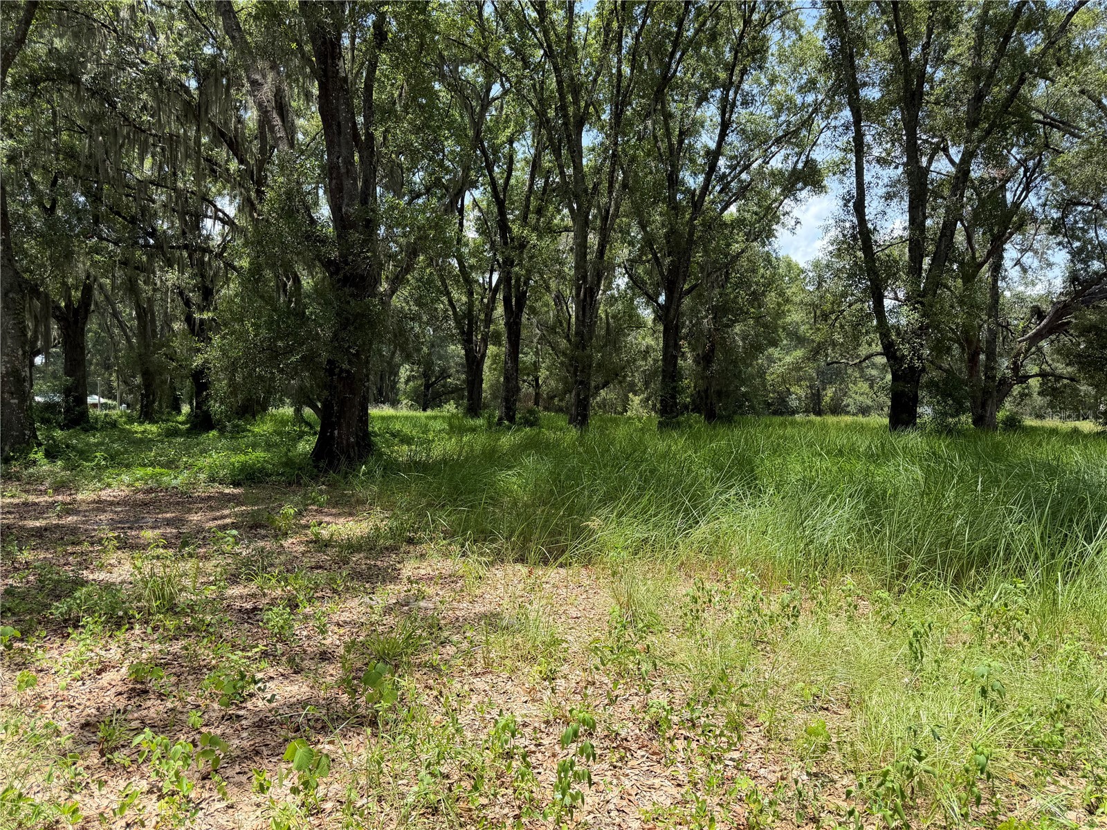 2008 Old Dixie Highway Auburndale FL 33823 L4962933 image70