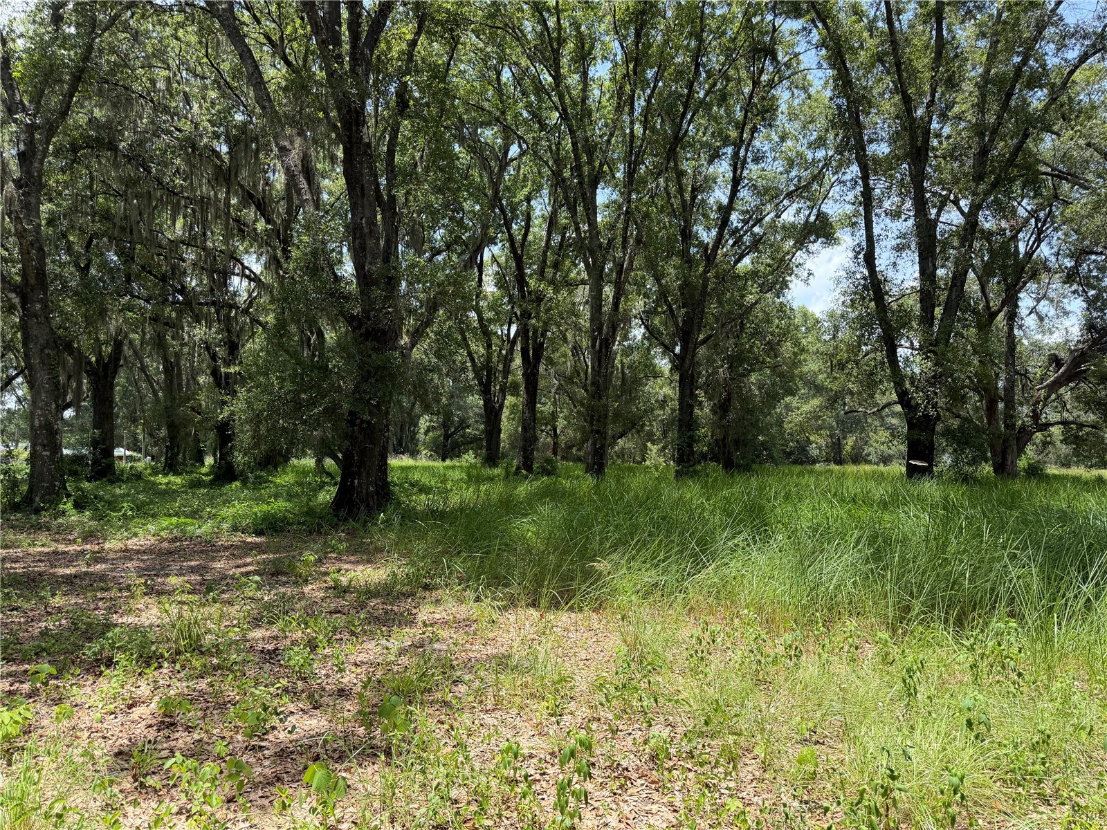 2008 Old Dixie Highway Auburndale FL 33823 L4962933 image71