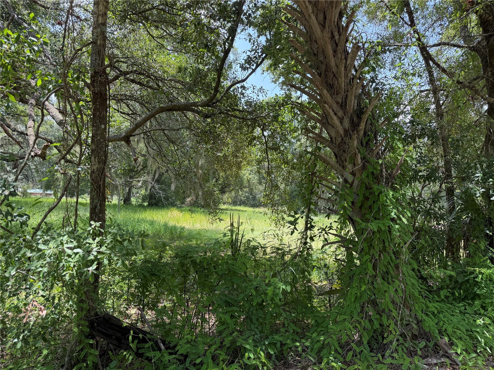 2008 Old Dixie Highway Auburndale FL 33823 L4962933 image72