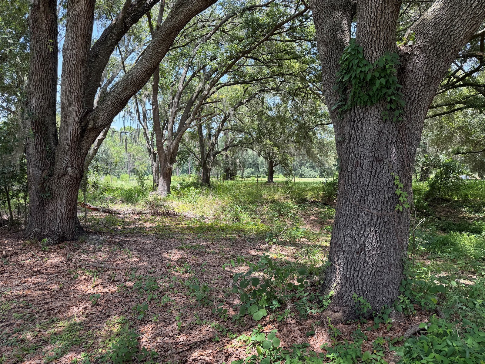 2008 Old Dixie Highway Auburndale FL 33823 L4962933 image75