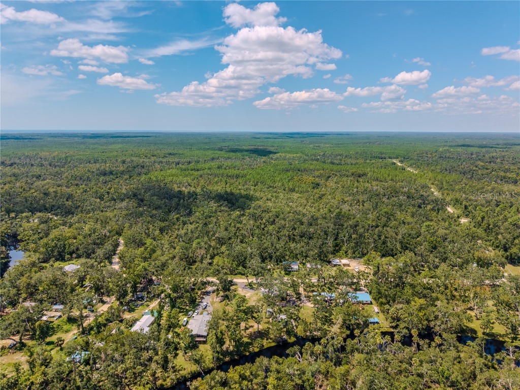 2008 River Road NE Steinhatchee FL 32359 OM709006 image14