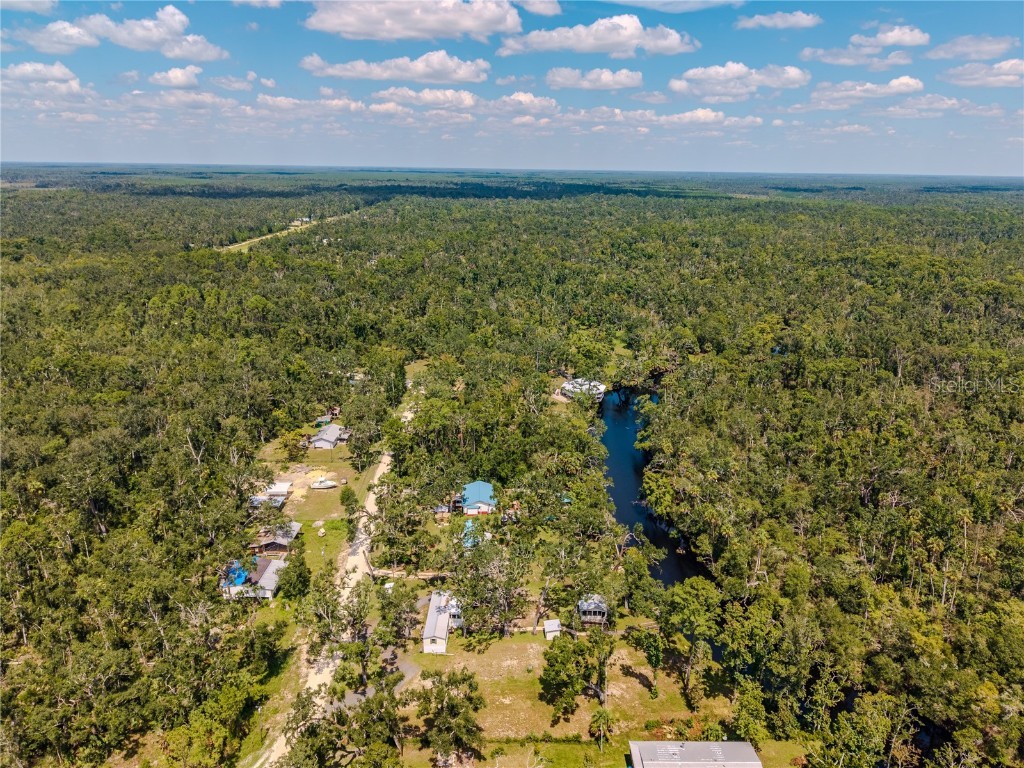 2008 River Road NE Steinhatchee FL 32359 OM709006 image15