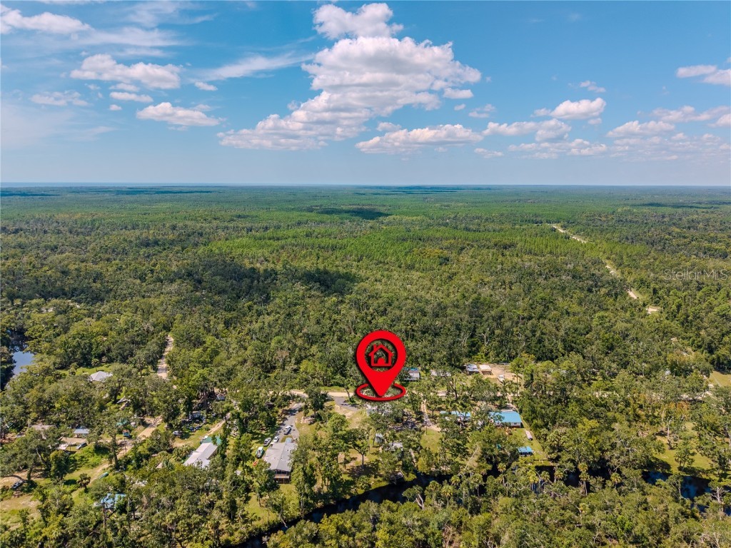 2008 River Road NE Steinhatchee FL 32359 OM709006 image21