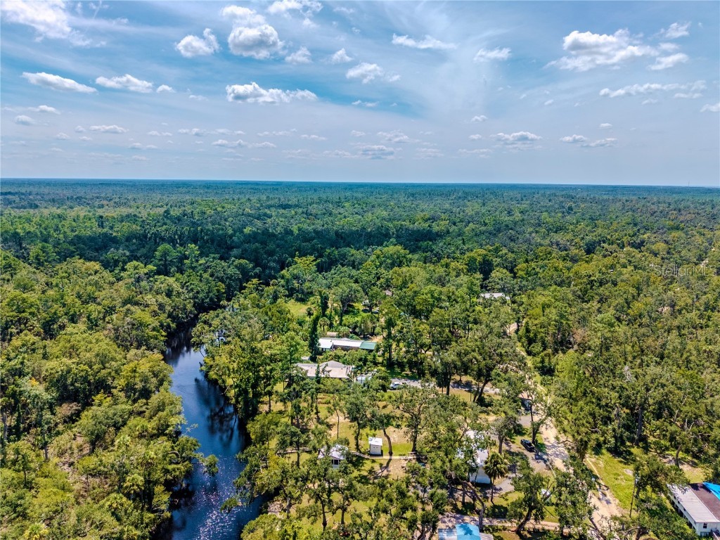 2008 River Road NE Steinhatchee FL 32359 OM709006 image3