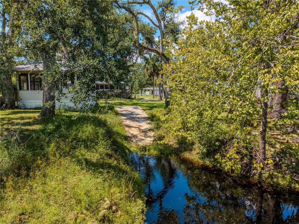 2008 River Road NE Steinhatchee FL 32359 OM709006 image5