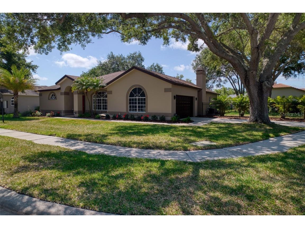 2008 Simeon Drive Palm Harbor FL 34683 U8242367 image1