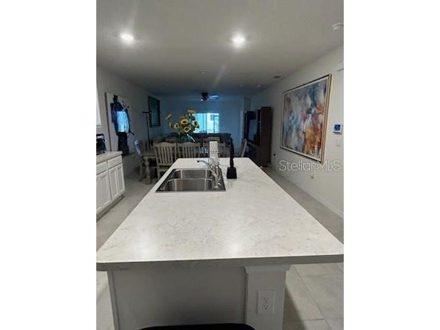 20082 Royal Tern Court Leesburg FL 34748 O6392669 image5