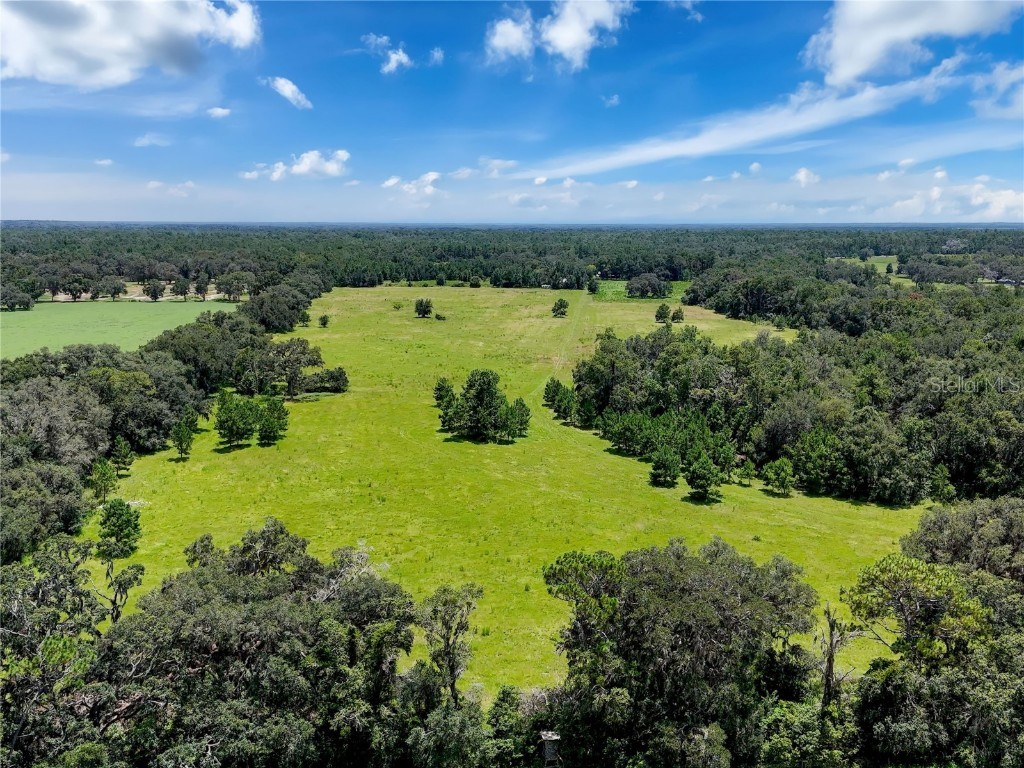 20089 Ayers Road Brooksville FL 34604 W7877261 image10